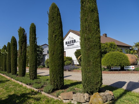 Hauer�s Weinwelt & Gutsausschank - Bad D�rkheim - 12.09.2026 13:00