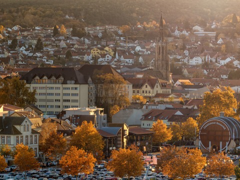 Herbstzauber: Stadtgeschichte, Zwiebelkuchen & Neuer Wein - Bad D�rkheim - 25.09.2026 15:00