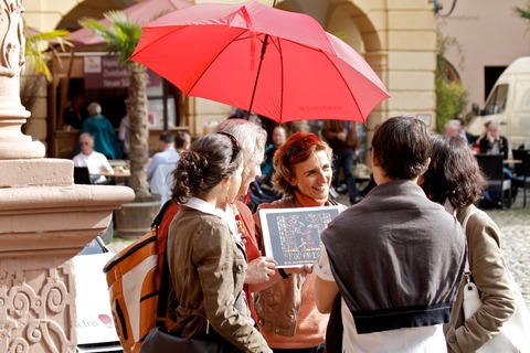FREIBURGerLEBEN: H�hepunkte der Altstadt - Freiburg - 01.05.2026 12:15