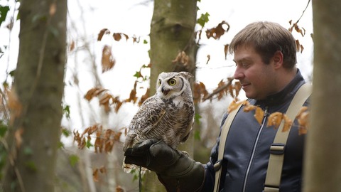 Neujahrsempfang der Gemeinde H�chenschwand - H�chenschwand - 11.01.2026 11:30