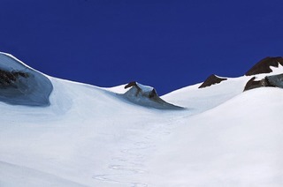 Das Schwarzw�lder Skimuseum in Hinterzarten pr�sentiert eine Kunstausstellung von Leo Sztatecsny