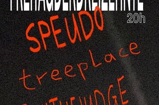 loKAlz: Paul the Judge + Speudo + Treeplace