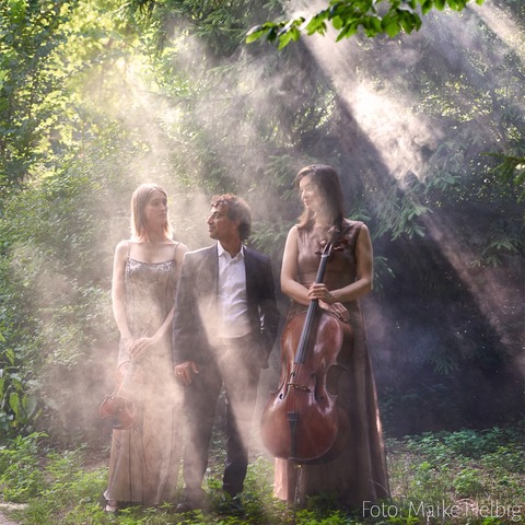 Saiten und Sph�ren 2: Das Oberon Trio spielt Werke von Felix Mendelssohn Bartholdy, Charlotte Bray und Franz Schubert - Marburg - 13.06.2026 19:00