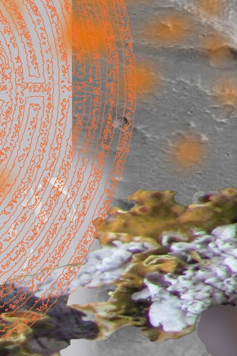 Wirrnis - Junge Deutsche Philharmonie - Hanau - 08.02.2026 17:00