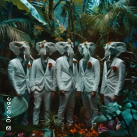 Orange - Mainz - 27.02.2026 20:00