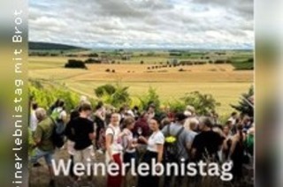 Weinerlebnistag - Winteredition