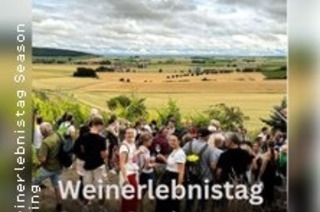 Weinerlebnistag + Angrillen