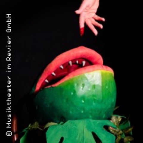 Der kleine Horrorladen - GELSENKIRCHEN - 28.06.2026 18:00