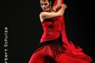 Flamenco Vivo