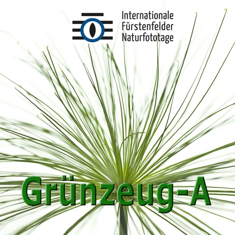 WS Faszination Gr�nzeug A - MIT EUR 20 CEWE-GUTSCHEIN - F�rstenfeldbruck - 25.04.2026 09:30