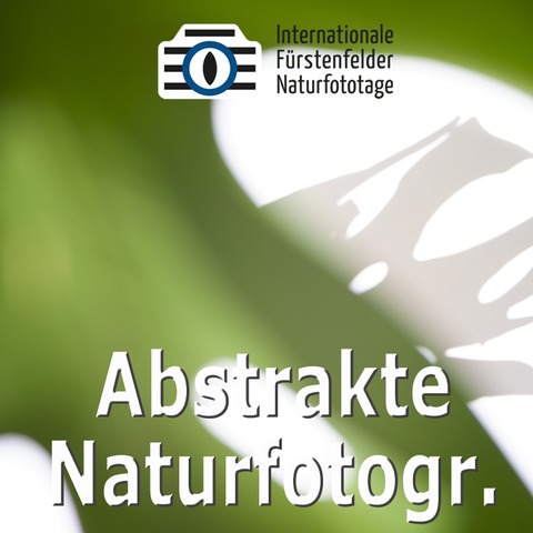 WS Abstrakte Naturfotografie - F�rstenfeldbruck - 25.04.2026 09:00