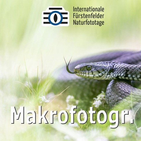 WS - Makro-Fotografie vor der Haust�r - F�rstenfeldbruck - 24.04.2026 13:00