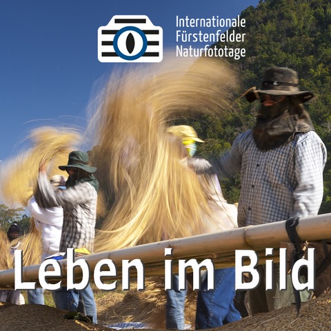 WS Leben im Bild - F�rstenfeldbruck - 26.04.2026 09:30