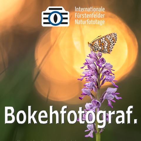 WS Bilder mit Bokeh - F�rstenfeldbruck - 26.04.2026 09:00