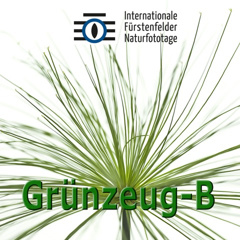 WS Faszination Gr�nzeug B - MIT EUR 20 CEWE-GUTSCHEIN - F�rstenfeldbruck - 25.04.2026 14:00