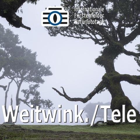 WS Weitwinkel versus Tele - F�rstenfeldbruck - 25.04.2026 13:30