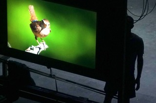 Troglodyte - Zaungast/Zaunk�nig - Reihe Global Bodies / Deutschlandpremiere