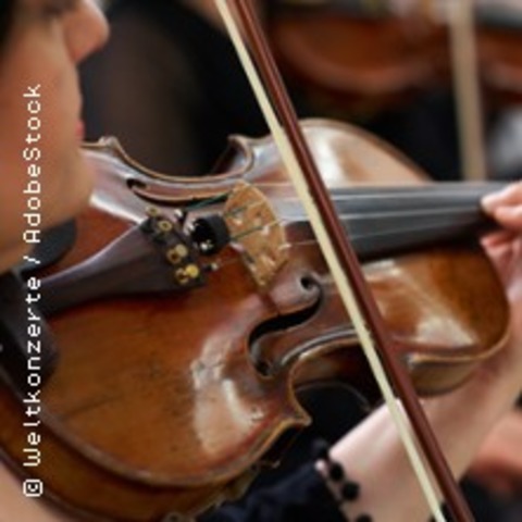 Vivaldi - Die Vier Jahreszeiten - Kammerorchester der Neuen Philharmonie Hamburg - Leipzig - 27.12.2026 15:30