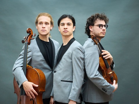 Trio Concept - Meersburg - 10.05.2026 18:00