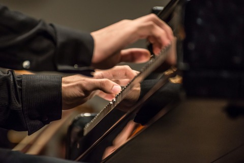 Musik im Fluss der Jahrhunderte - Pirna - 01.11.2026 15:00