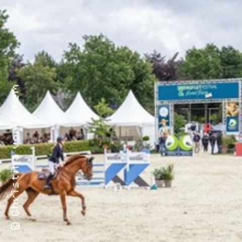 Springflut Festival 2026 - Tagesticket - H�RUP - 12.07.2026 08:00