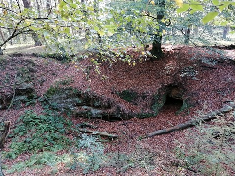 Wanderung: Sagenhafte Wanderung durch die Emmelk�mper Mark - Dorsten - 11.10.2026 14:00