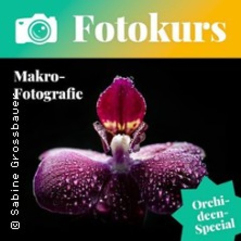 Fotokurs Makro: Orchideen-Special - Potsdam - 28.02.2026 11:00
