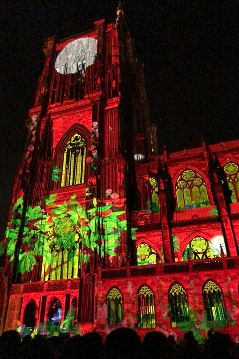 Gef�hrter Abendspaziergang durch Stra�burg - Mit Lichtshow am M�nster - Kehl - 13.08.2026 19:00