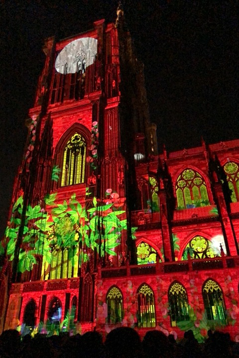 Gef�hrter Abendspaziergang durch Stra�burg - Mit Lichtshow am M�nster - Kehl - 04.08.2026 19:00