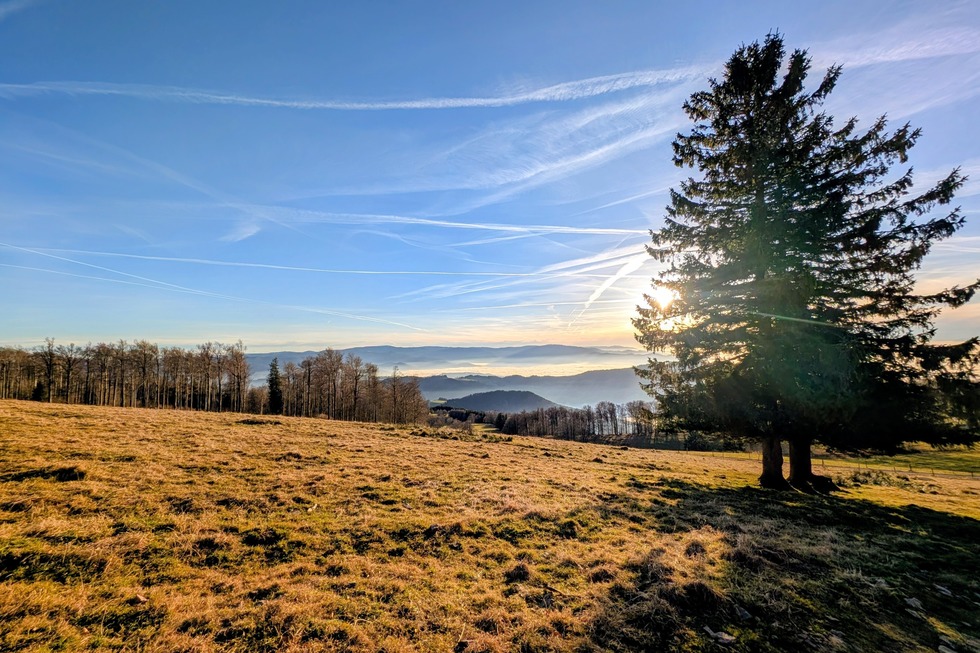Kleine Kandeltour - Waldkirch