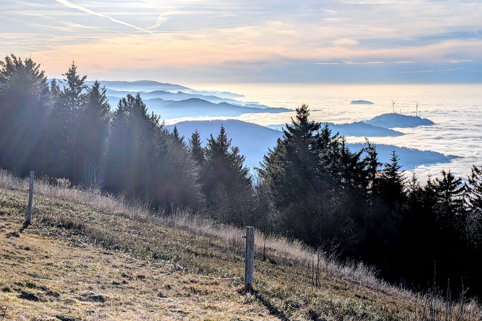Kleine Kandeltour - Waldkirch