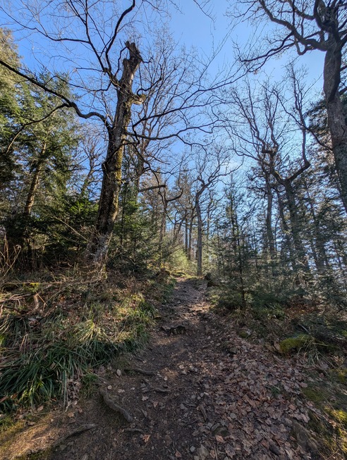 Kybfelsen-Steig - Freiburg