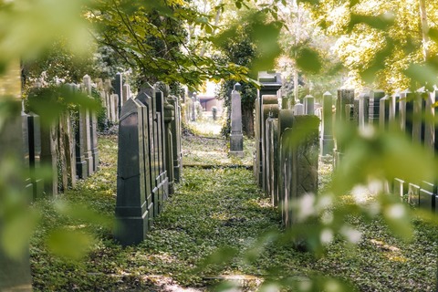 Wovon die Steine zeugen - F�rth - 27.05.2026 18:00