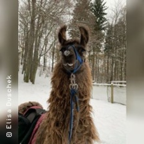 Gl�hwein-Wanderung - SCH�NAU-BERZDORF OT KIESDORF - 14.11.2026 13:00