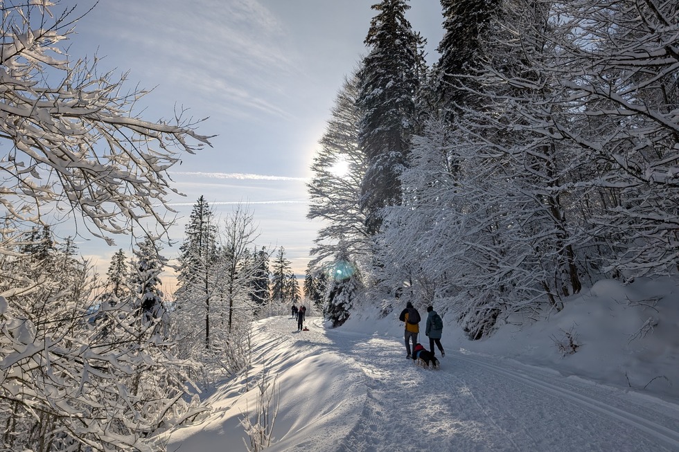 Martin-Heidegger-Rundweg - Todtnau