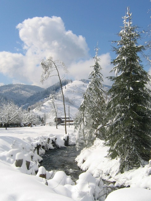 M�nstert�ler Winterrunde - M�nstertal