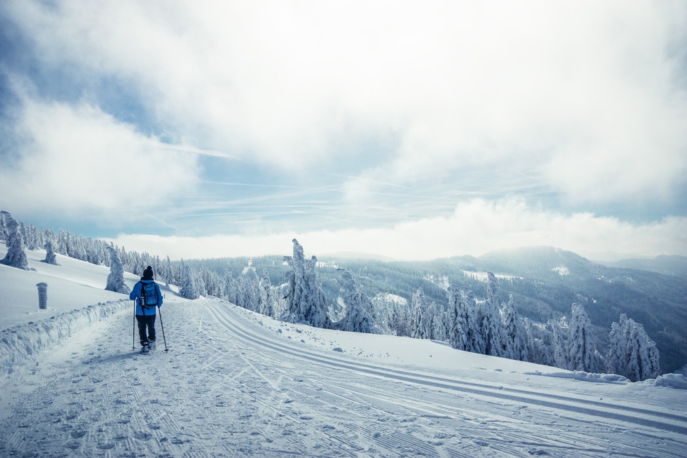 Schneeschuhtour Gipfeltrail - Feldberg
