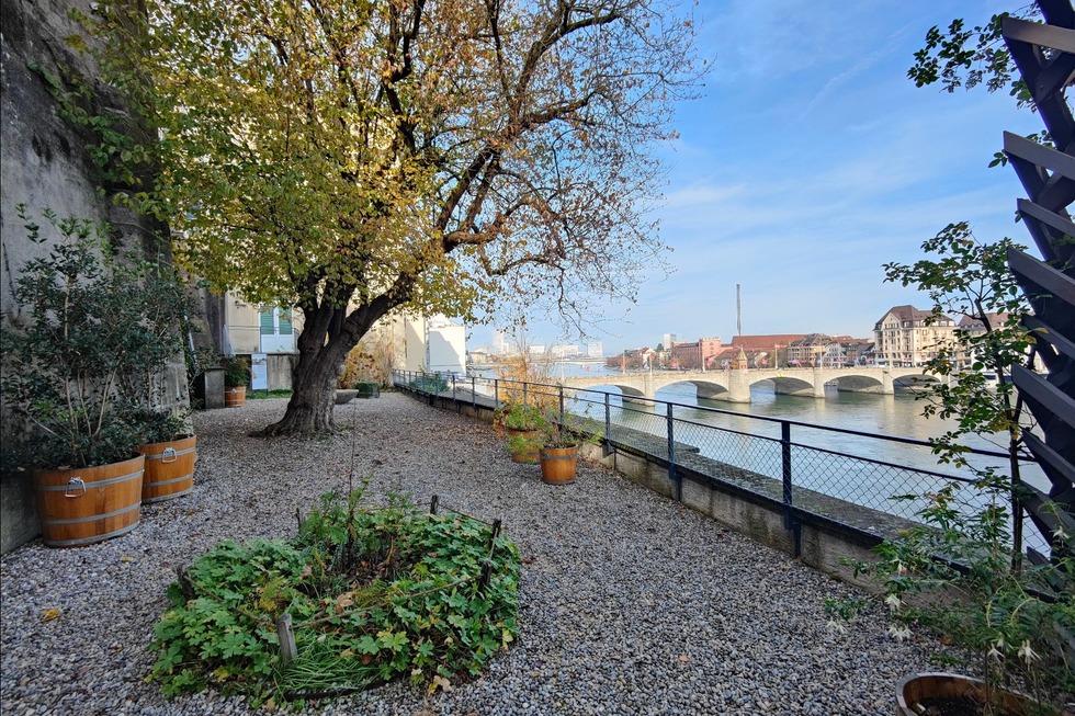 Garten der Alten Universit�t - Basel