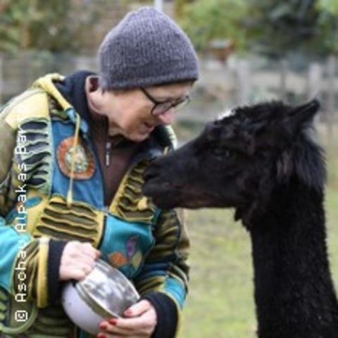 Alpakas hautnah - HABIGHORST - 16.09.2026 16:00