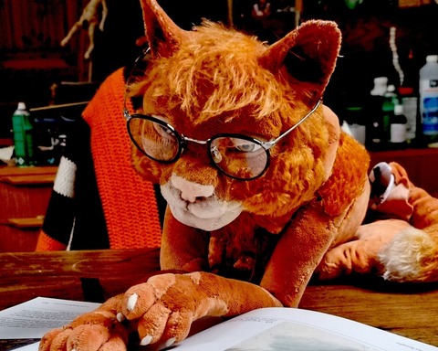 Menzel Sch�fer Thieme Team zeigt: „Matou - Die Katze, die kein Mensch sein will“ - Potsdam - 20.03.2026 20:00