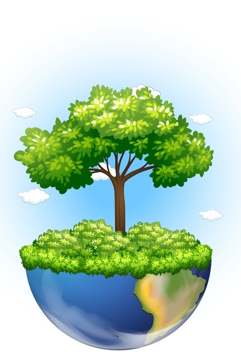 Ist das Wald oder kann das weg? - Infotainment rund um den Wald - Frankfurt am Main - 18.04.2026 20:00