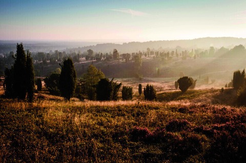 Busausflug Wilsede mit Kutschrundfahrt - Bad Bevensen - 05.09.2026 13:00
