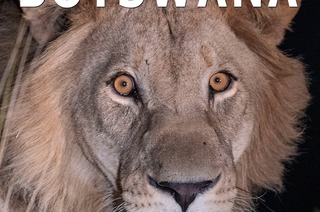 BOTSWANA - Tierparadies - artenreich, faszinierend - Live-Reportage