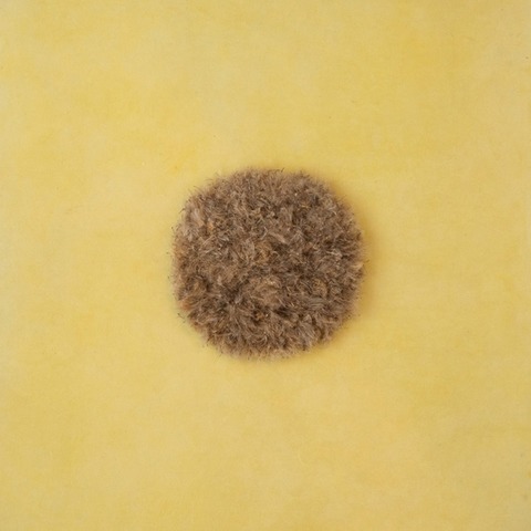 Rita Maria Linke & Theo Hofs�ss - Freiburg - 20.01.2026 16:00