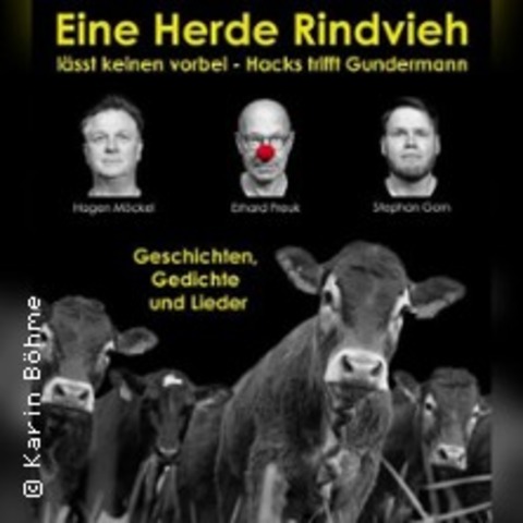 Eine Herde Rindvieh l�sst keinen vorbei - HALLE - 29.05.2026 19:00
