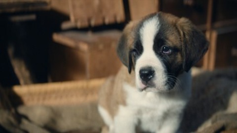 Mein Freund Barry - Basel - 15.01.2026 13:30