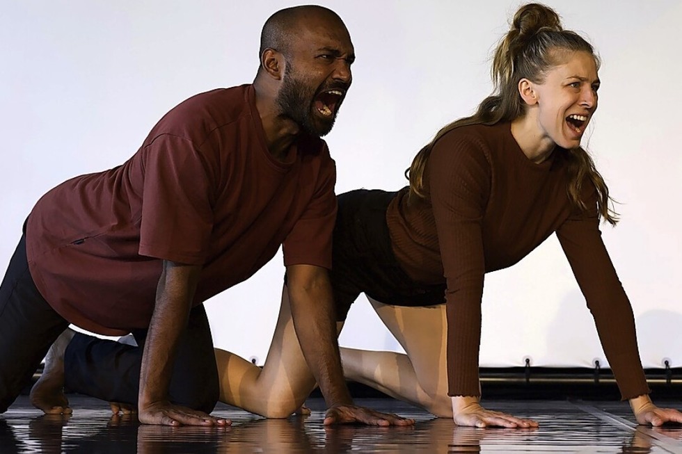 DieTanzperformance „Unwritten Bodies: Seen & Unseen" findet drei Tage in Freiburg statt - Badische Zeitung TICKET