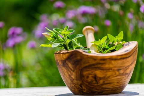 Kr�uterwanderung - Bad Bevensen - 13.03.2026 15:30