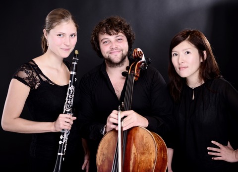 Kammerkonzert - Trio-Abend - Denzlingen - 31.01.2026 19:00