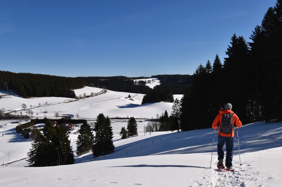 Schneeschuhtrail J�gersteig - Schluchsee